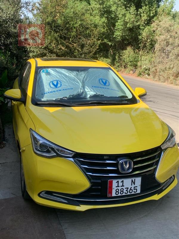 شانجان السفن 2024 للبيع في العراق -  بغداد